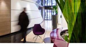 Green Inside, société spécialisée dans la décoration végétale en location longue durée pour les entreprises, basée à Paris, Île-de-France, France.