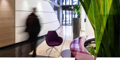 Green Inside, société spécialisée dans la décoration végétale en location longue durée pour les entreprises, basée à Paris, Île-de-France, France.